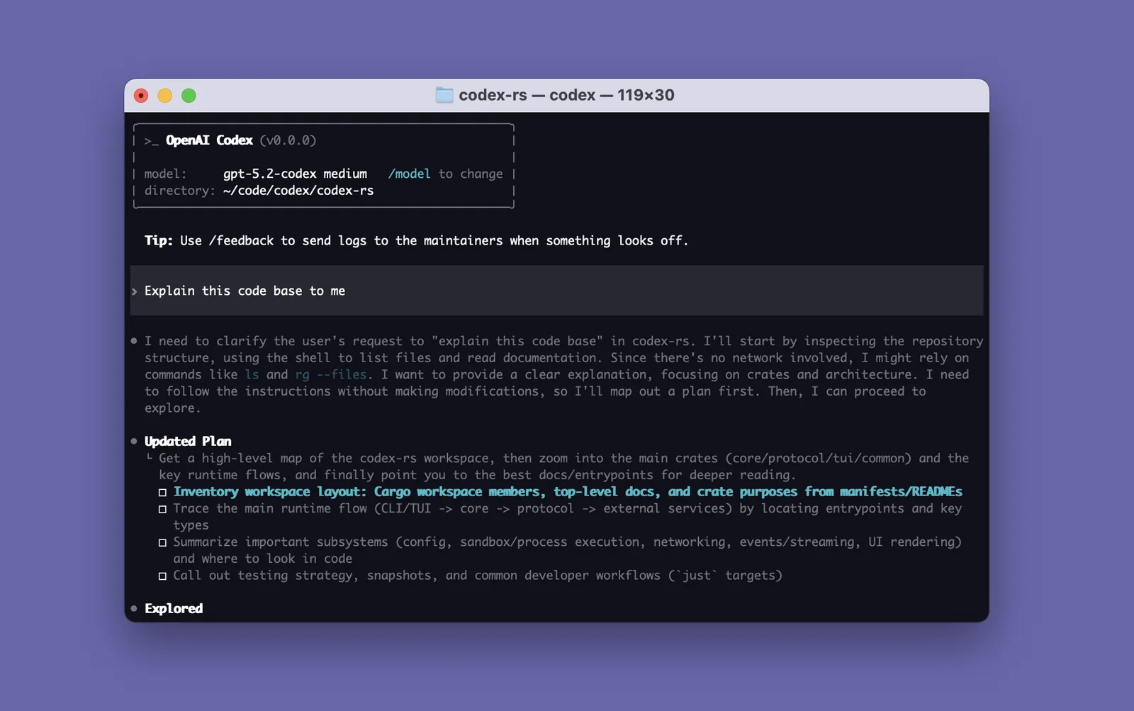 Codex CLI: “Updated Plan” checklist in the terminal